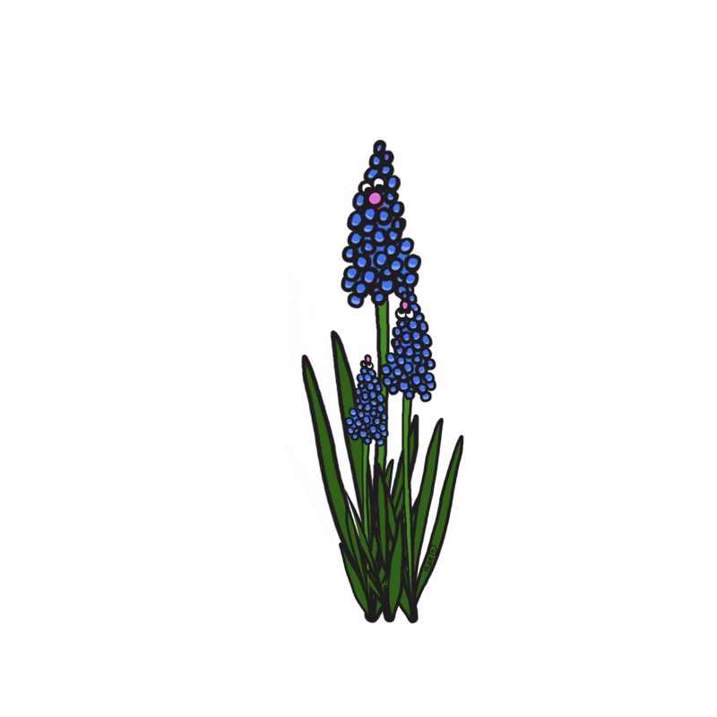 Handgetekende bloemenillustratie door Marretjes